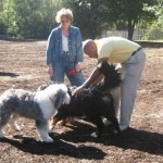IMG_0014 IMG_0014