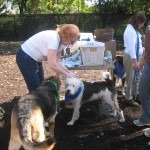 IMG_0016 IMG_0016