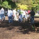 IMG_0034 IMG_0034