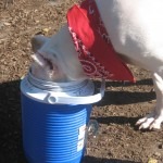 IMG_0045 IMG_0045