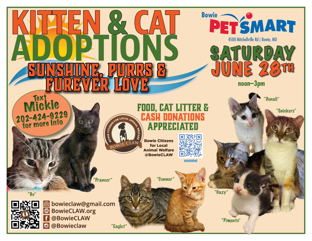 Flyer for a kitten and cat adoption event at PetSmart in Bowie, MD, on Saturday, June 28, 12–3pm. Features photos of six cats, event details, and contact info. Food, litter, and cash donations appreciated.