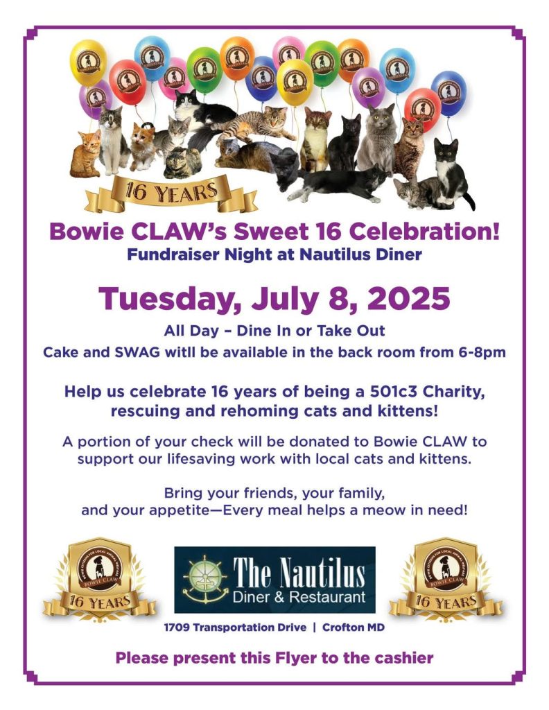 Flyer with “Bowie CLAW’s Sweet 16 Celebration! Fundraiser Night at Nautilus Diner” headline, cat images across the top, event details for July 8, 2025, charity info, and logos at the bottom.