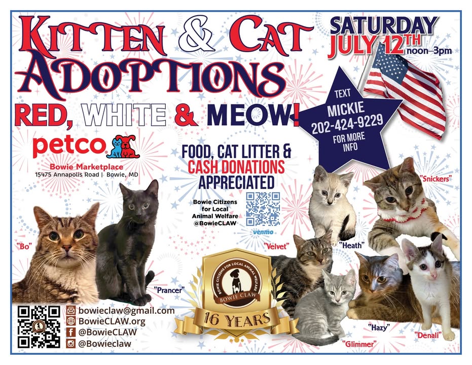 Event flyer for a kitten and cat adoption on Saturday, July 12th at Petco in Bowie, MD. Includes photos of cats, contact info, and mentions food, litter, and cash donations appreciated. Stars and stripes background.