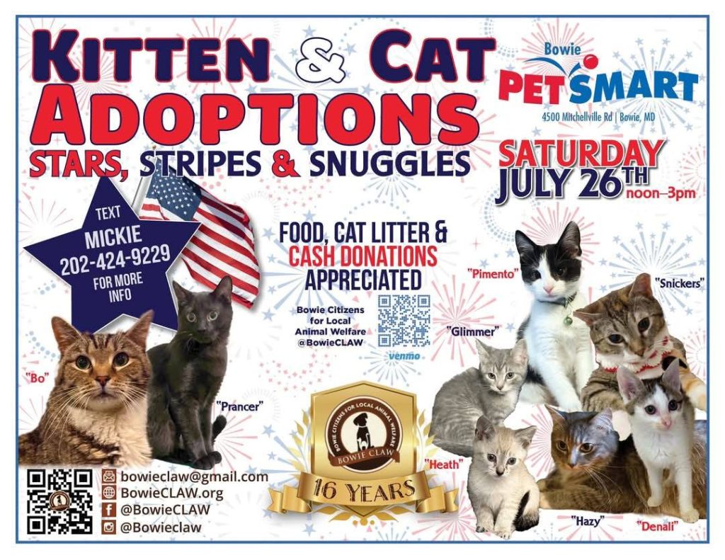 Flyer for a Kitten & Cat Adoption event at Bowie PetSmart on Saturday, July 26th, noon–3pm. Features photos of several cats, event info, contact details, and a 16 Years gold badge.