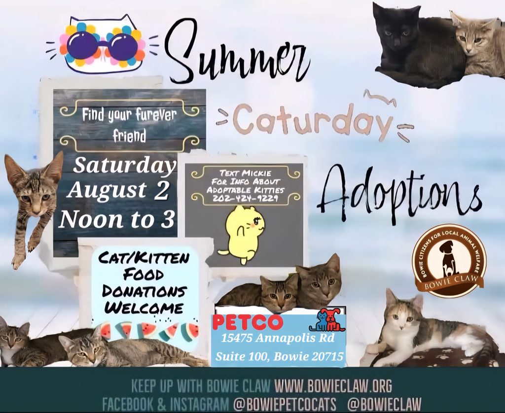 A colorful flyer with cats promotes a Summer Caturday Adoptions event on Saturday, August 2, noon-3 at Petco, 15475 Annapolis Rd, Bowie, MD. Cat/kitten food donations welcome. Contact info and social media at bottom.
