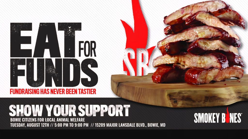 A stack of saucy BBQ ribs sits on a wooden board with a red fork, next to bold text: Eat for Funds and details about a local animal welfare fundraiser at Smokey Bones in Bowie, MD.