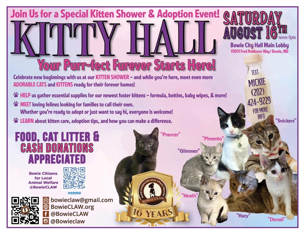 A colorful flyer for a kitten shower and adoption event called “Kitty Hall” on August 16 at Bowie City Hall. The flyer features text, contact info, and photos of six named kittens available for adoption on a purple background.