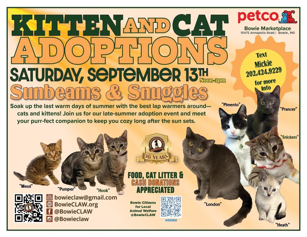 A flyer for Kitten and Cat Adoptions on Saturday, September 13th at Petco, featuring photos of seven cats and kittens with names, event details, and contact information.
