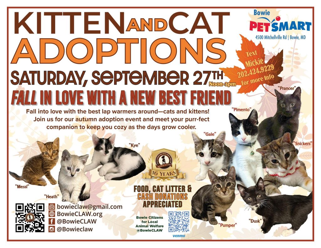 Flyer for a kitten and cat adoption event on Saturday, September 27th at PetSmart in Bowie, MD. Features photos of cats, event info, contact details, and a note about food, litter, and cash donations.