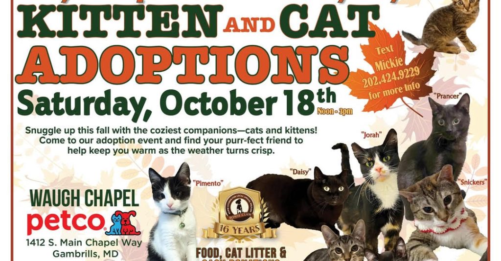 A flyer for a Kitten and Cat Adoption event on Saturday, October 18th at Petco, Waugh Chapel, Gambrills, MD. It features cats and kittens with names, event details, and contact info. Food, supplies, and fun promised.