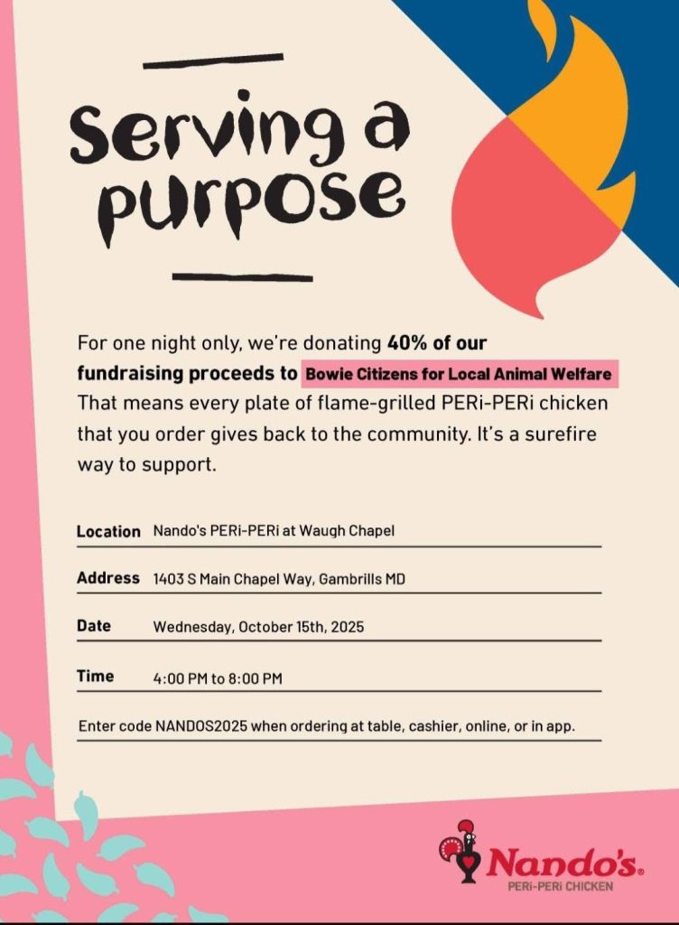 A Nandos flyer with a flame graphic announces a fundraiser donating 40% of proceeds to Bowie Citizens for Local Animal Welfare. Event is on October 15, 2025, 4-8 PM, at Nando’s Waugh Chapel, with a promo code for orders.