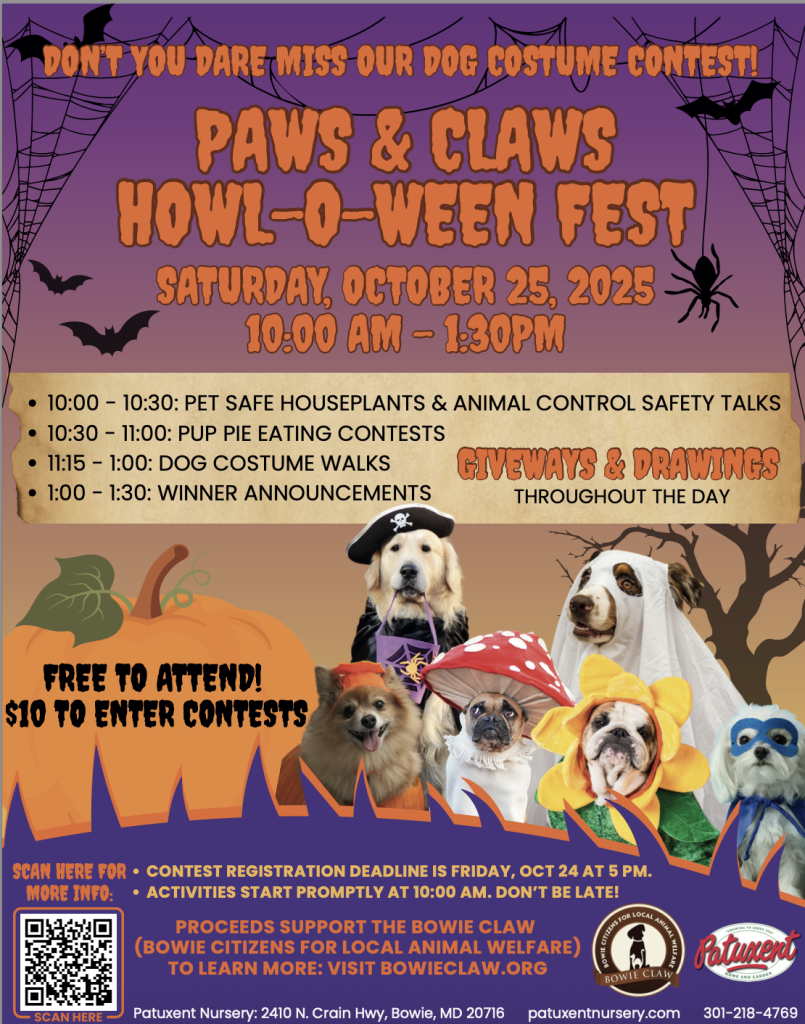 Colorful flyer for Paws & Claws Howl-O-Ween Fest on October 25, 2025, with photos of dogs in costumes, event times, contest info, and a note about giveaways and contest entry fee.