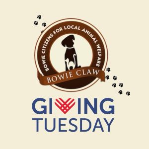 Logo for Bowie Citizens for Local Animal Welfare featuring a dog silhouette, with Bowie CLAW text below and paw prints nearby. Below the logo, text reads GIVING TUESDAY, with a heart design in the word GIVING.