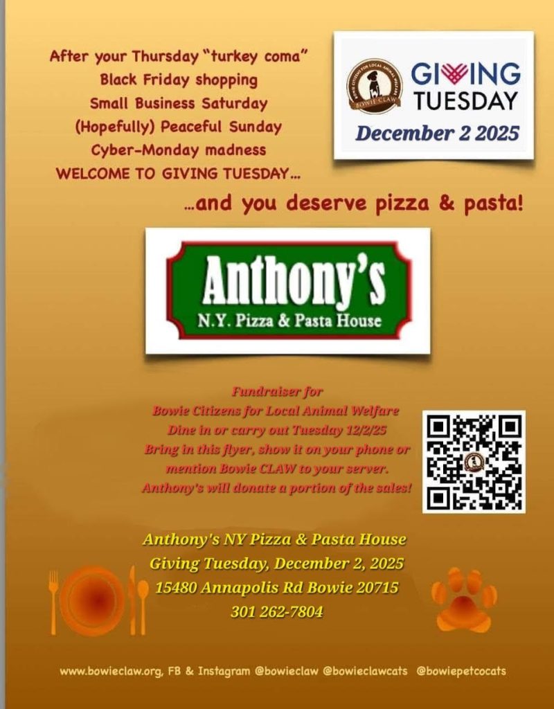 A flyer promotes a Giving Tuesday fundraiser at Anthonys NY Pizza & Pasta House on December 2, 2025, benefitting local animal welfare. Includes event details, address, phone, and charity logos.