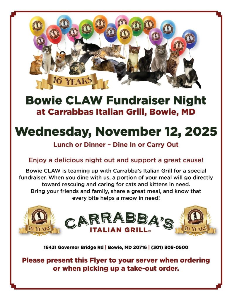 Fundraiser flyer with photos of cats and dogs, Carrabba’s Italian Grill logo, and details for Bowie CLAW Fundraiser Night on November 12, 2025, benefiting animal rescue, for dine-in or takeout orders.