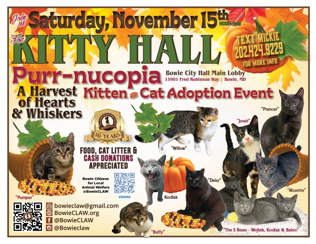 Colorful flyer for a cat adoption event titled “Purr-nucopia” at Kitty Hall, with photos and names of cats, autumn leaves, pumpkins, contact info, and donation request. Event date: Saturday, November 15th.
