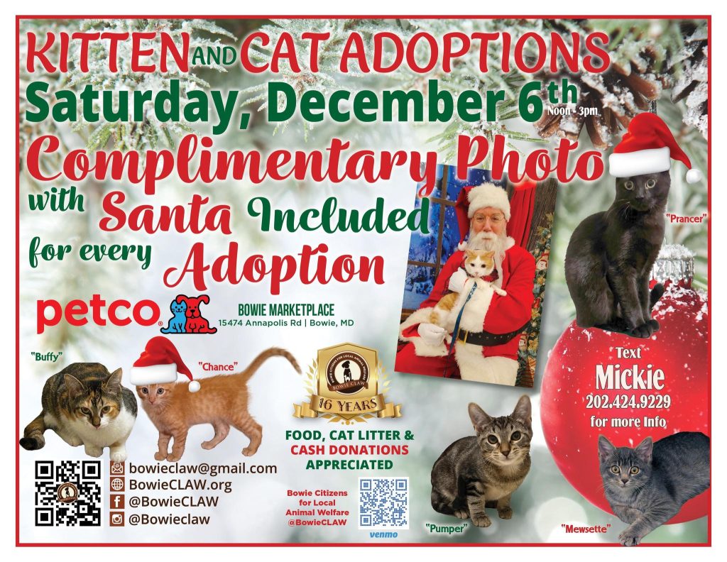 Flyer for a kitten and cat adoption event on Saturday, December 6th, with a complimentary photo with Santa for every adoption. Includes photos of cats and event details, hosted by Bowie CLAW at Petco, Bowie, MD.