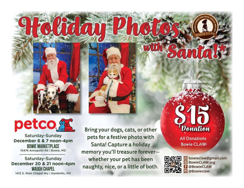 A festive flyer advertises “Holiday Photos with Santa!” for a $15 donation. Two photos show Santa with dogs. Dates, times, and locations are listed for Bowie CLAW’s pet photo events at Petco. Contact info and social media links appear.