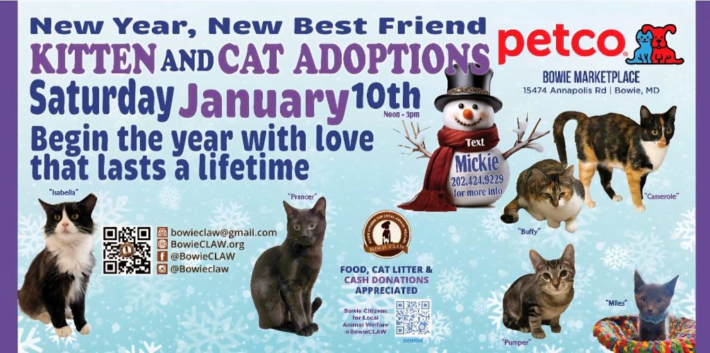Event flyer for kitten and cat adoptions at Petco in Bowie, MD on January 10th, featuring photos and names of six cats with event details, a snowman graphic, and social media/contact information.