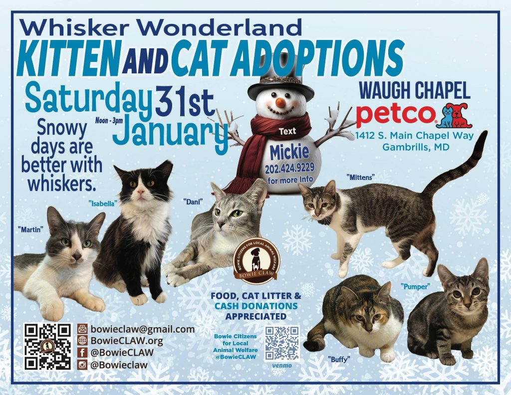 Adoption event flyer showing photos of six cats and a snowman. Text details a Kitten and Cat Adoptions event at Petco, Waugh Chapel, on Saturday, January 31st, noon–3pm. Includes contact info, QR codes, and donation request.