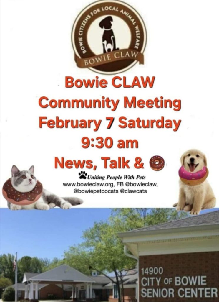 Flyer for Bowie CLAW Community Meeting on February 7, Saturday at 9:30 am featuring “News, Talk & Donut.” Includes images of a cat and dog with donuts, and the Bowie Senior Center building at 14900.