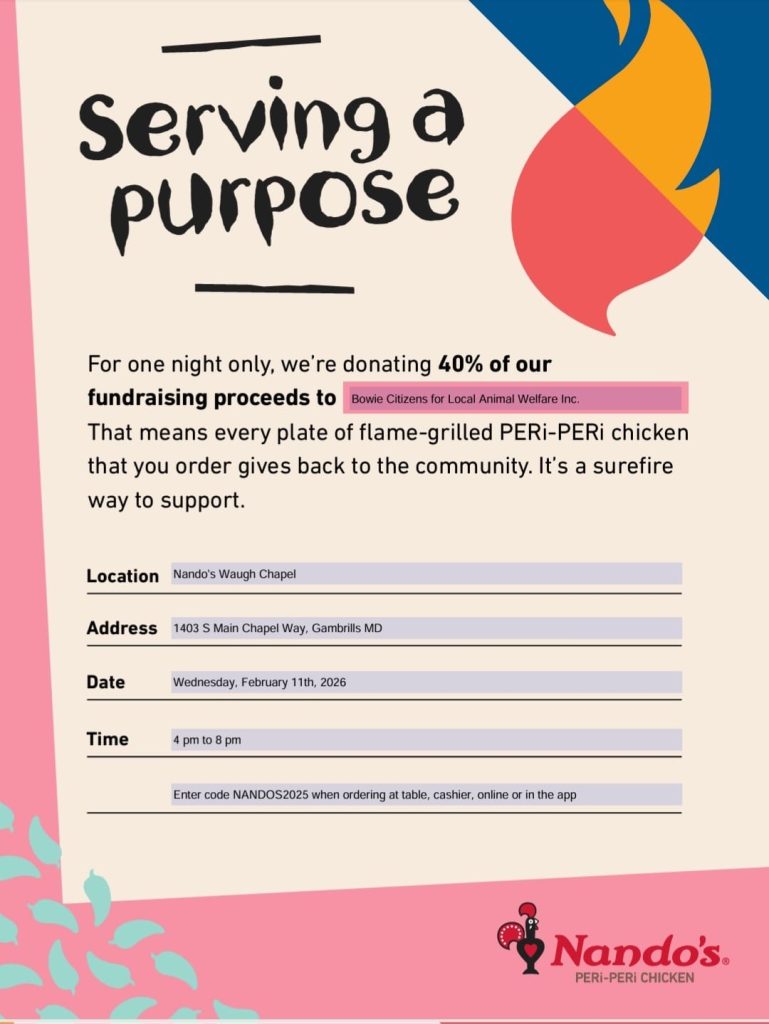 An event flyer for Nando’s PERi-PERi Chicken announces a fundraising night on Feb 11, 2026, 4–8 pm, donating 40% of proceeds to Bowie Citizens for Local Animal Welfare Inc. at 1403 S Main Chapel Way, Gambrills, MD.