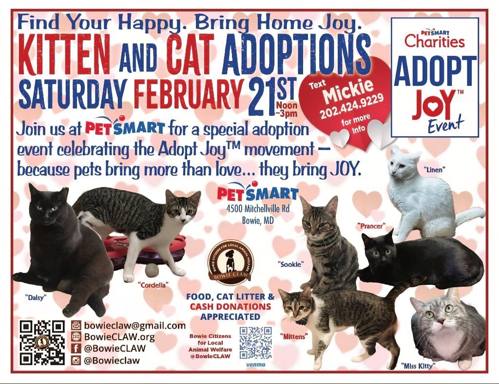 A flyer for a kitten and cat adoption event at PetSmart on February 21st, noon–3 pm, with photos and names of adoptable cats. Includes contact info, social media, and details about the event in Bowie, MD.