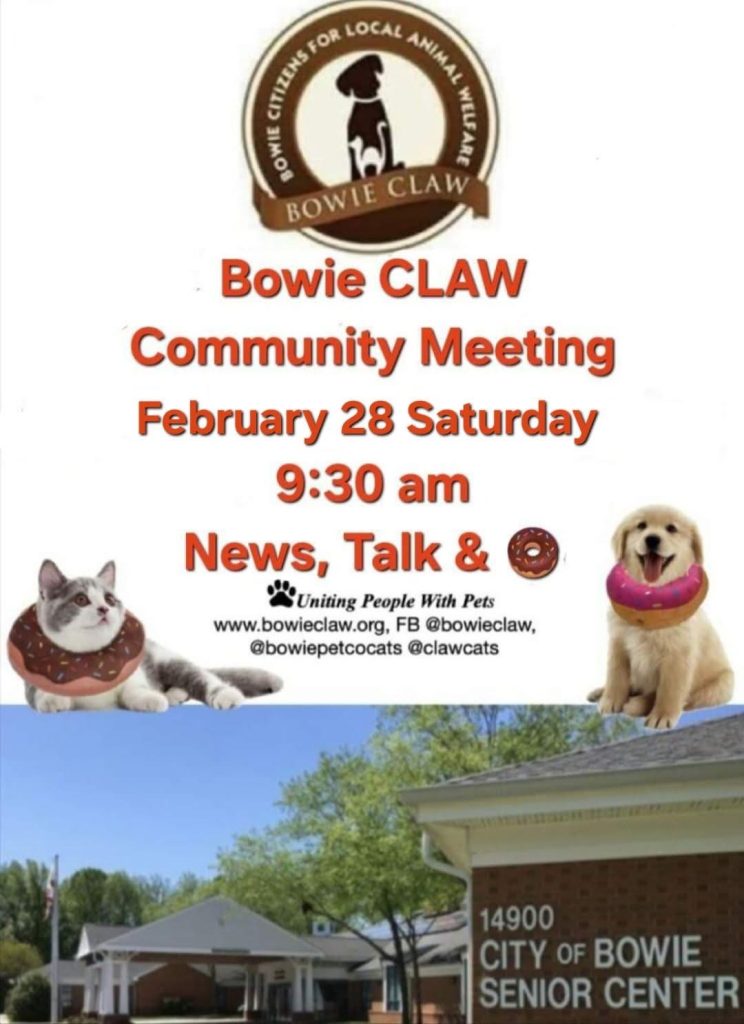 Poster for Bowie CLAW Community Meeting on February 28, Saturday, 9:30 am featuring news, talk, and donuts. Images of a cat, dog, Bowie CLAW logo, and the City of Bowie Senior Center.