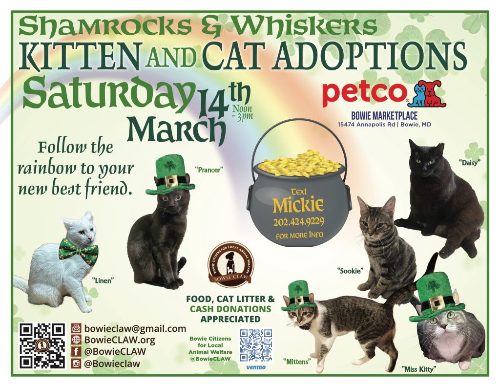 A flyer for a Shamrocks & Whiskers kitten and cat adoption event on Saturday, March 14th, noon to 3 pm at Petco, Bowie Marketplace. Photos of cats in St. Patricks hats and event details are included.