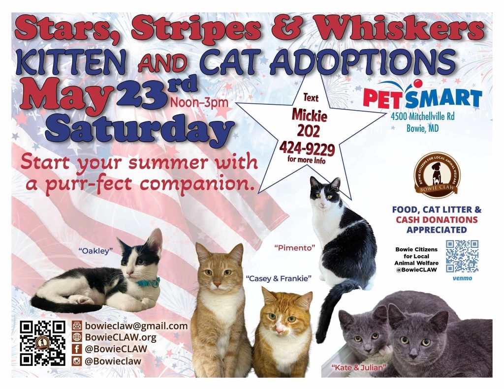 Flyer for a kitten and cat adoption event at PetSmart on May 23, noon–3pm, with photos of several cats, event details, and contact info for Bowie Citizens for Local Animal Welfare.