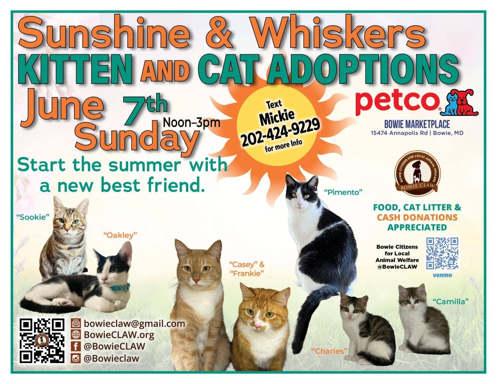 Adoption event flyer with various cats labeled “Sookie,” “Oakley,” “Casey,” “Frankie,” “Charles,” “Pimento,” and “Camilla.” Event is June 7, noon–3pm at Petco, Bowie, MD. Includes contact info and QR code.