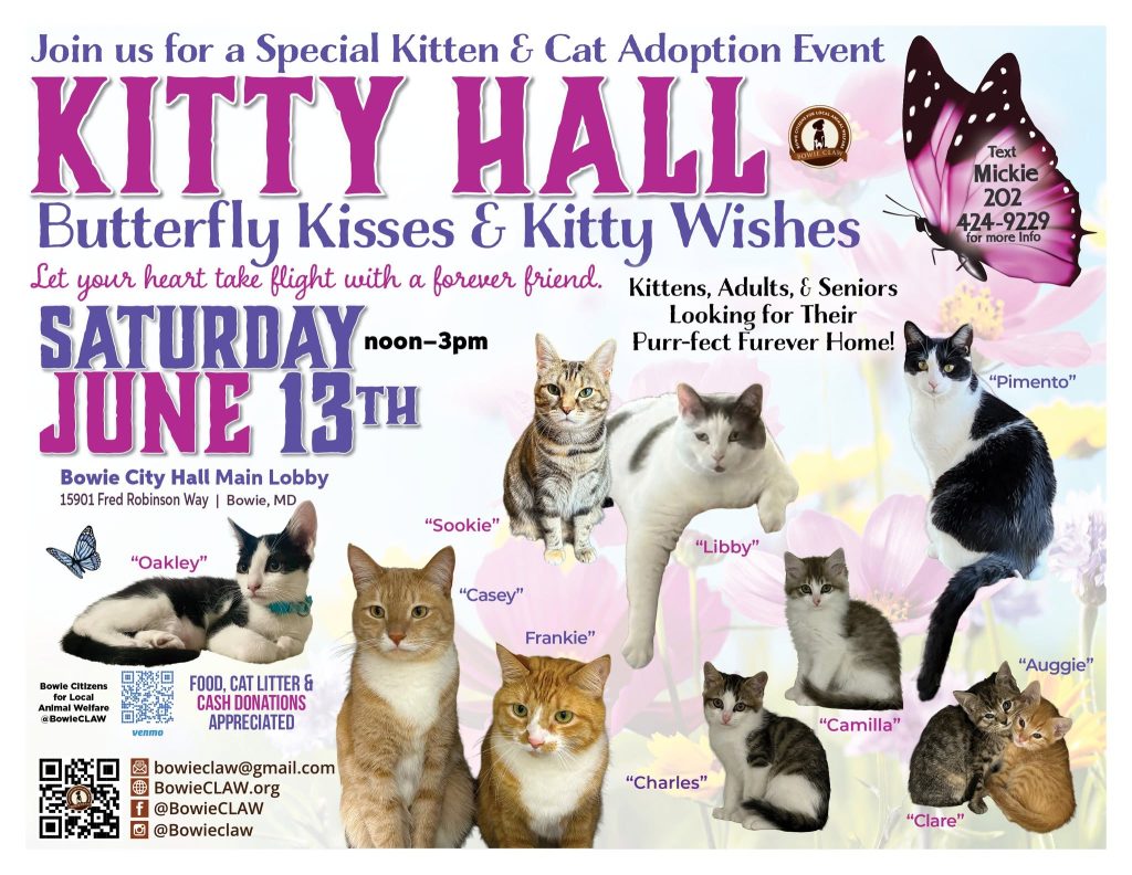 Event flyer for a cat adoption, featuring photos of nine cats with names, event details for Saturday, June 13th, noon–3pm at Bowie City Hall, and contact information. Background includes butterflies and pink text.