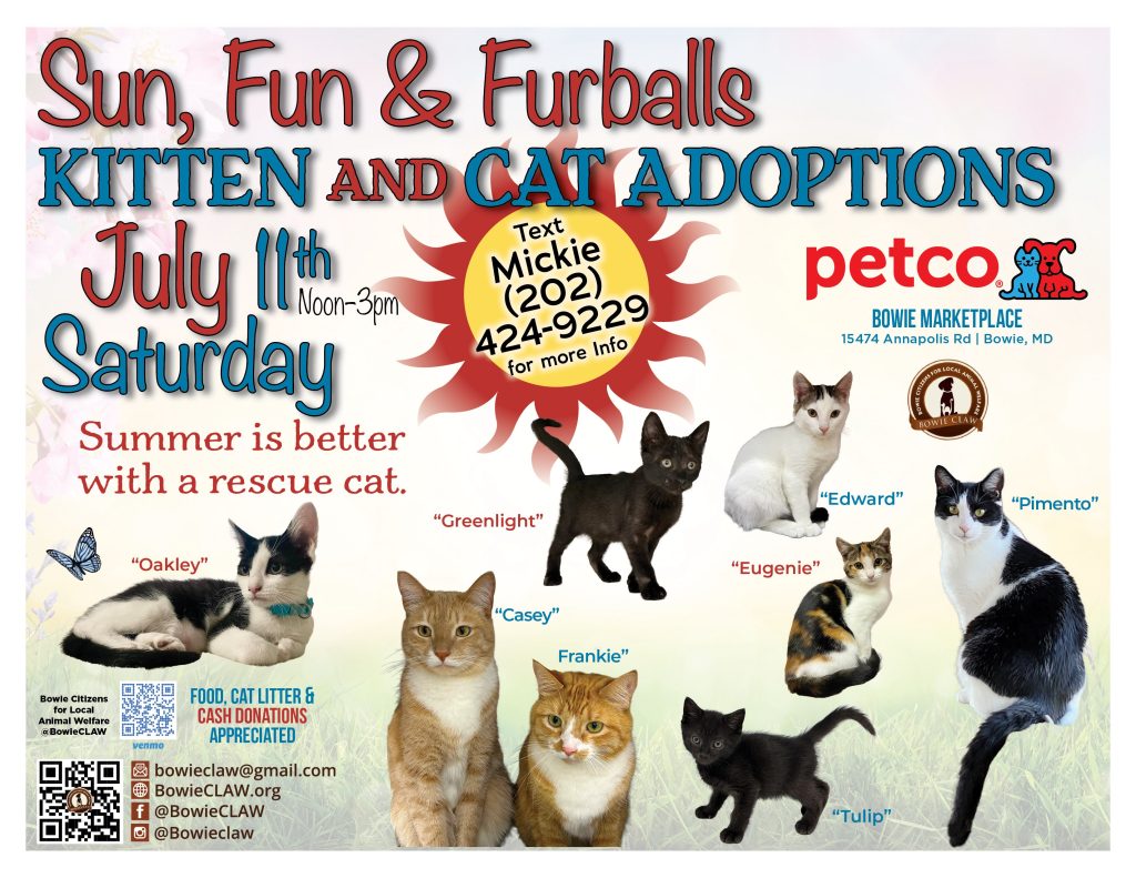 Flyer for a kitten and cat adoption event at Petco on July 11th, showing photos of several named cats with event details, contact info, and a summer-themed background with paw prints and a sunrise.