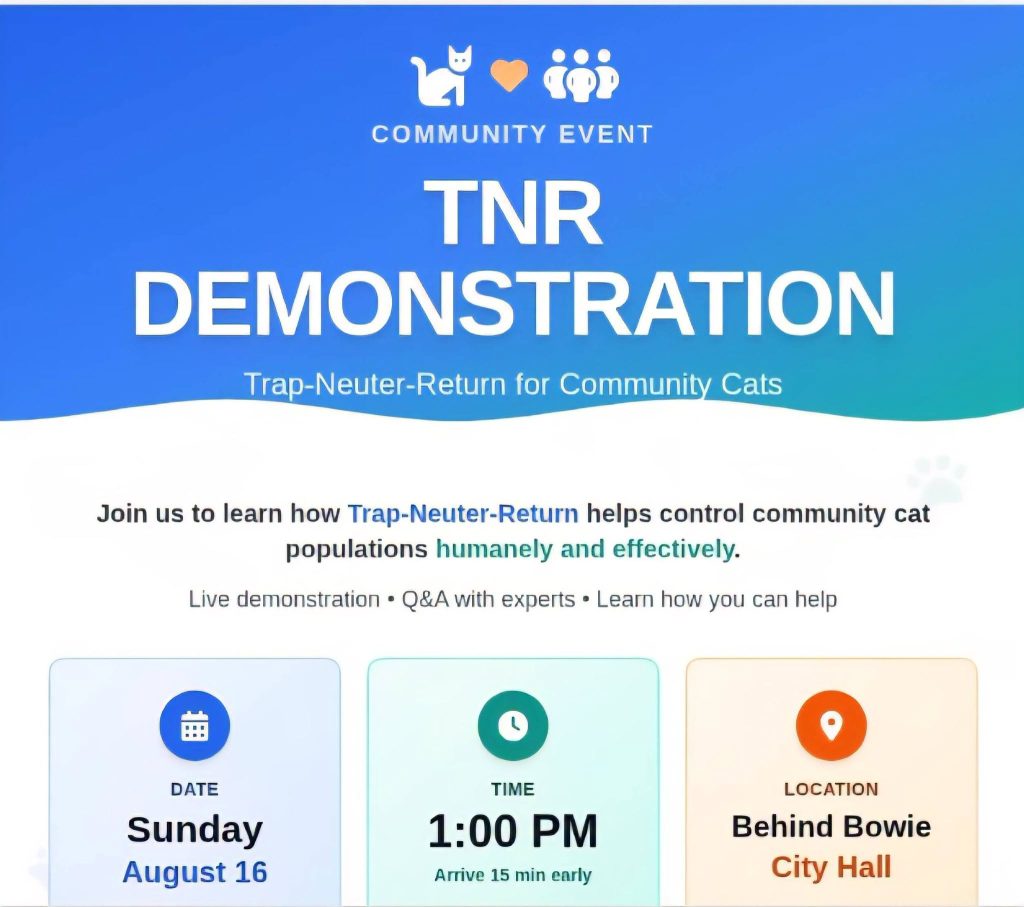 Flyer for a TNR Demonstration event about Trap-Neuter-Return for community cats, with event details: Sunday, August 16, 1 PM, behind Bowie City Hall. Includes icons and a call to learn about humane cat population control.
