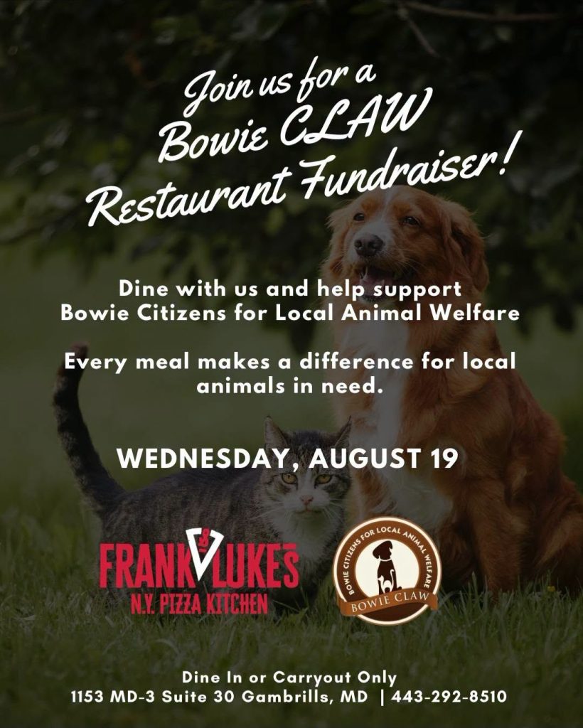 Flyer for a Bowie CLAW restaurant fundraiser at Frankly Lukes Pizza on August 19, supporting local animal welfare. Includes contact info, logos, animal paw and hand, and event details.