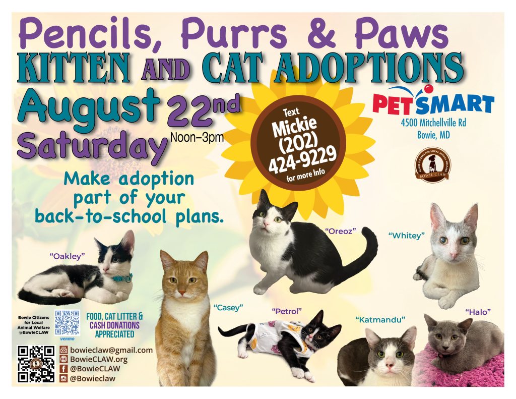 Colorful flyer for a kitten and cat adoption event at PetSmart on August 22nd. Features photos of six cats with names, event details, a contact number, and encouragement to adopt. Social media links are included.