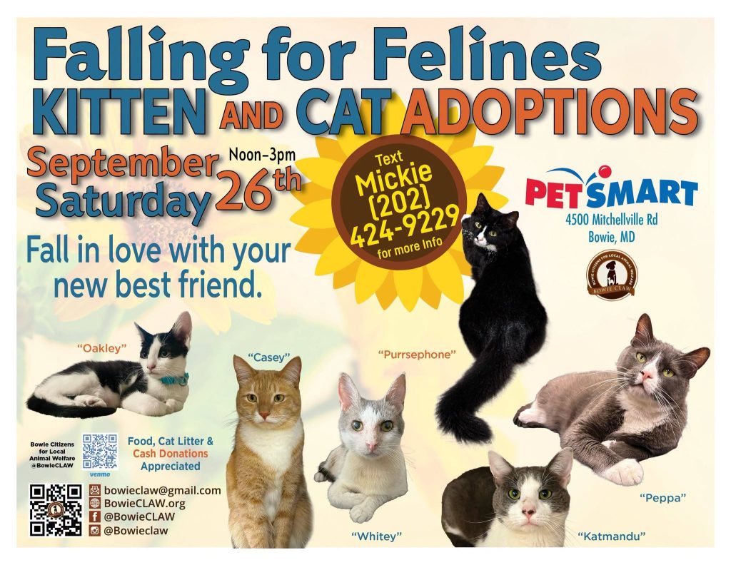 Poster for a kitten and cat adoption event on September 26th at PetSmart, with images of six cats, event details, contact info for Mickie, and adoption group logos.