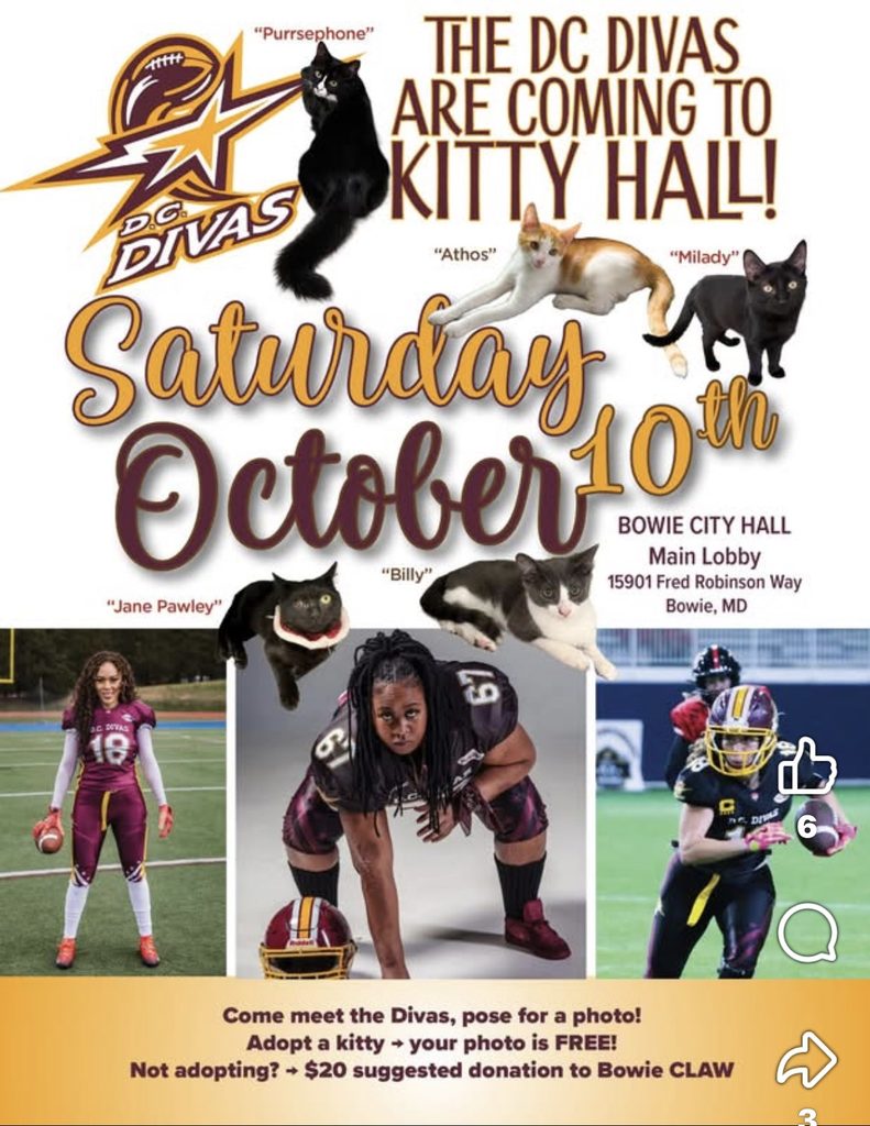 Event poster for the DC Divas at Kitty Hall on October 10th at Bowie City Hall, featuring photos of players and adoptable cats.