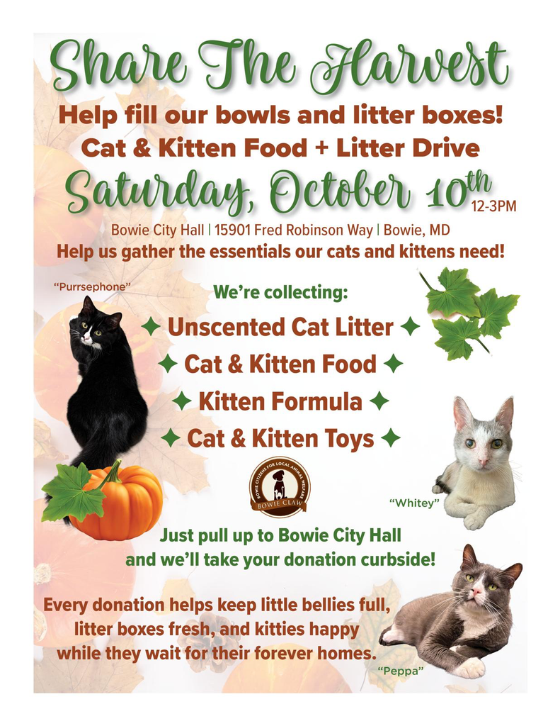 Flyer for a cat and kitten food and litter drive at Bowie City Hall on Saturday, October 10th from 12-3 PM, requesting donations of unscented litter, food, formula, and toys.
